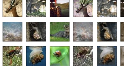 Multi-Image Steganography Using Deep Neural Networks featured image
